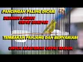 Download Lagu PANCINGAN PLECI GACOR BIKIN LAWAN CEPAT BUKPAR , NEMBAK PANJANG BERVARIASI