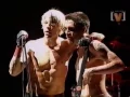 Download Lagu RHCP (Big Day Out)  Scar Tissue + crazy crowd (2000)