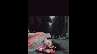 موت ساي وحزن فيرات    دندنها