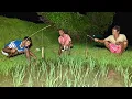 Download Lagu I caught big hornfish and magur fish by using a rain barrel to eat rice. Village fishing!!!