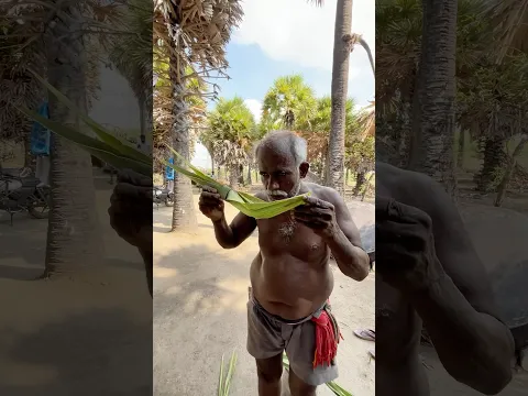 This Traditional Village Drink Will Surprise You! It’s Neera . When Fermented, It’s Called,Palm Wine