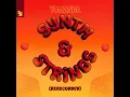 Synth & Strings (Extended Rerecorded)