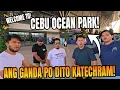 WOW! Cebu Ocean Part VS Manila Ocean Park!