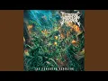 Download Lagu A Flesh, Bones, and a Mind