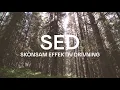 SED - Skonsam effektiv drivning i SCAs foryngringsavverkningar