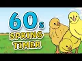 60 Second Spring Timer for Kids 1 Minute Countdown