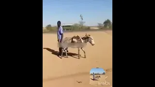 ايدي وايدك عالعصفورية 