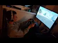 meta auth test