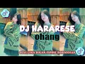 Lagu DJ VERSION HARARESE - OHANG | LAGU SUNDA VIRAL TERBARU 2022
