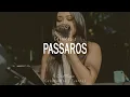 Download Lagu CasaMagic - Pássaros (Claudia Leitte) - Voz, Violão e Violino