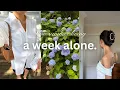Download Lagu a summer week alone | slow summer living \u0026 solo days