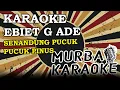 Download Lagu EBIET G ADE - SENANDUNG PUCUK-PUCUK PINUS (KARAOKE VERSION)