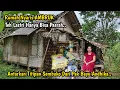Lagu KAGET.. JUMPA WANITA MUDA PEMBERANI MEMILIH TINGGAL DI RUMAH TERPENCIL NYARIS AMBRUK DI TENGAH HUTAN