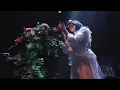 野田愛実 - butterfly effect （NodaEmi LIVE 2024 “time” in SHIBUYA PLEASUREPLEASURE）