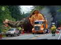 Download Lagu Dangerous Idiots Truck \u0026 Heavy Equipment Fails Compilation | Extreme Truck Idiots at Work #54