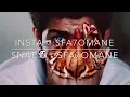 محمد الشحي - جنني / مسرع-مبطئ/ Des:sfa7omane