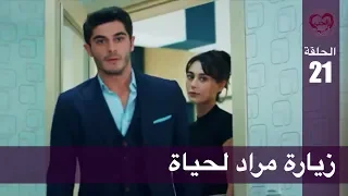 الحب لا يفهم الكلام الحلقة 21 زيارة مراد لحياة 