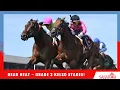 DEAD HEAT in the 2026 Grade 3 Kelso Stakes