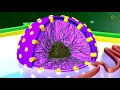 Lagu Practically's Concepts - Nucleus (Nuclear Envelope, Nucleoplasm \u0026 Nucleoli) - #LearnPractically