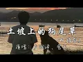 卢润泽、宫巴 - 土坡上的狗尾草 （双语版）『土坡上狗尾巴草摇啊，摇得人眼泪掉，来世你要投个好人家。』『动态歌词MV』
