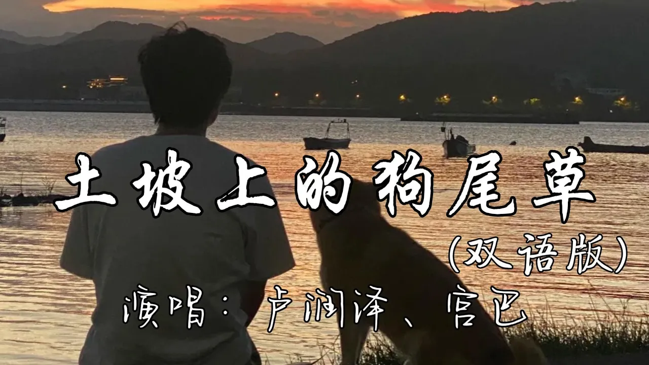 卢润泽、宫巴 - 土坡上的狗尾草 (双语版)『土坡上狗尾巴草摇啊,摇得人眼泪掉,来世你要投个好人家。』『动态歌词MV』 卢润泽、宫巴 - 土坡上的狗尾草 (双语版)『土坡上狗尾巴草摇啊,摇得人眼泪掉,来世你要投个好人家。』『动态歌词MV』