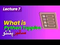 Data Science Lecture 7 What is Python Tuples Data Science for beginners