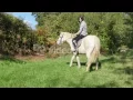 YOUNG BEAUTIFUL BRUNETTE WOMAN RIDING WHITE HORSE HPLHN4QLL