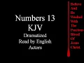 Numbers 13 KJV