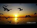 Ghar se nikalte he Dharmendra Narayan (Rajesh Roshan,Udit Narayan)