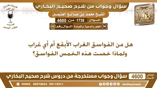             هل من الفواسق الغراب الأبقع أم أي غراب ولماذا خصت هذه الخمس الفواسق  ابن عثيمين دندنها