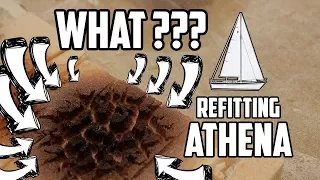 Sail Life – Foam core replacement, osmosis progress and what happened there?! DIY sailboat refit
