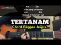 Lagu Kunci Gitar TERTANAM - Tony q Rastafara | Chord Reggae Gampang
