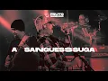Download Lagu A SANGUESSUGA - DVD A Volta dos que não foram - Fruto Sagrado (Oficial)
