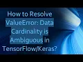 How to Resolve ValueError Data Cardinality is Ambiguous in