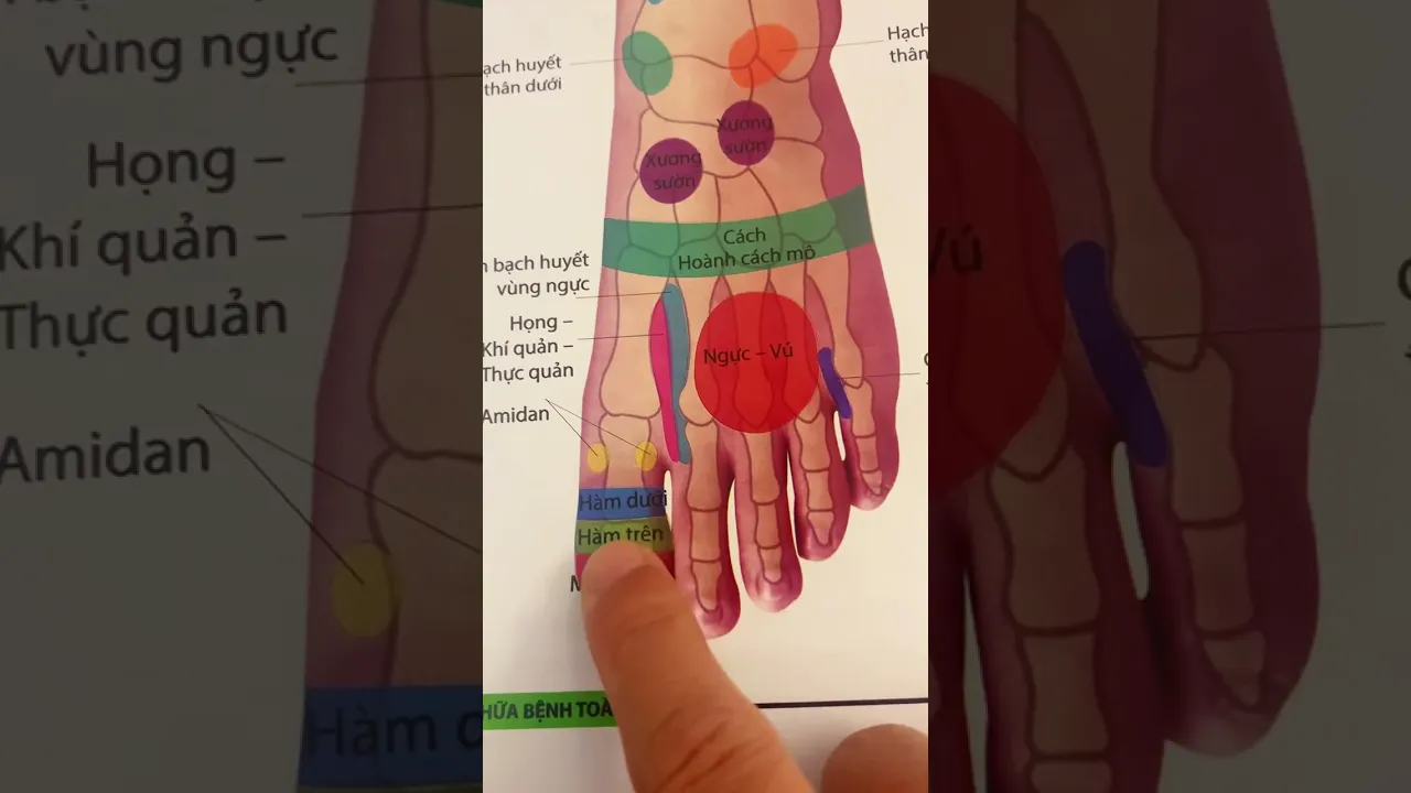 Sách Y Khoa - Liệu Pháp Chữa Bệnh Toàn Thân Khu Phản Xạ