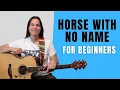 2 CHORD SONG - Horse With No Name Guitar Lesson BEGINNER LEVEL