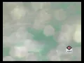 يروح الروح❤️NSN❤️حبك فرضته فرض ؛ يروح الروح أصبحت إنت النبض💓