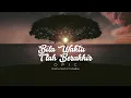Download Lagu Bila Waktu Tlah Berakhir - Opick (Instrument Biola)