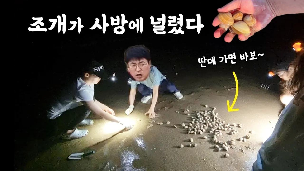 고사포 해수욕장, 실패 없는 해루질 포인트, 꽝 없는 조개밭에서 줍줍 하세요! サムネイル