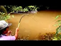Download Lagu ASTAGHFIRULLAH.RAJA NYA ULAR LEWAT PAS DI DEPAN SAYA MANCING UNTUNG SAYA WASPADA