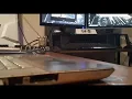 Deadmau5 - Polyphobia // Wes - To Catch a Mouse (Live Studio Mashup)