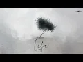 Alberto Giurioli  - Life (Audio)