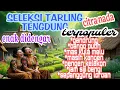 Download Lagu SELEKSI TARLING TENGDUNG CITRA NADA TERPOPULER