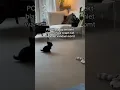 Download Lagu Waar komt dit geluid nou vandaan👀TT/ benthehehehe