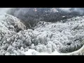 🎼 Emotional Piano Music for Relaxing Moments | Peaceful Neo-Classical Music (Part 1)