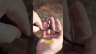 Best Knot For Hanging Camping Gear Camping 