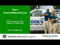 Top 3 Wildlife Removal Helpline in Cullman