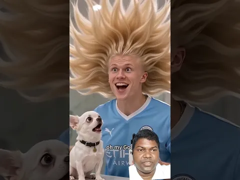 amazing hair growth #cutedog #pets #funny