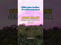 Download Lagu Semua ada waktunya #katakatabijak #motivasidiri