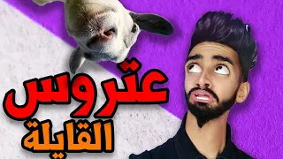كعوان و عتروس القايلة 
